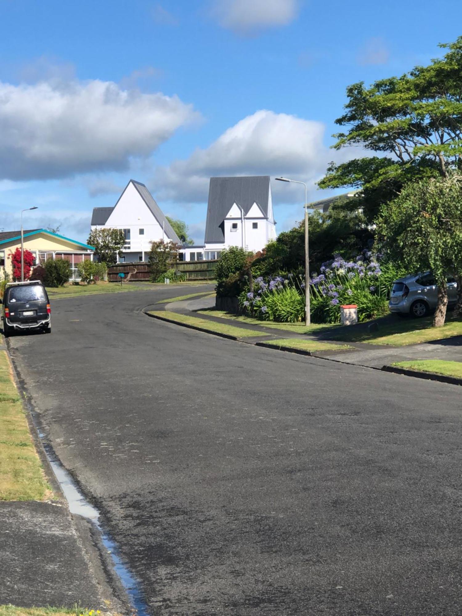 Allie'S Hill Top Haven Bed & Breakfast ワンガヌイ エクステリア 写真